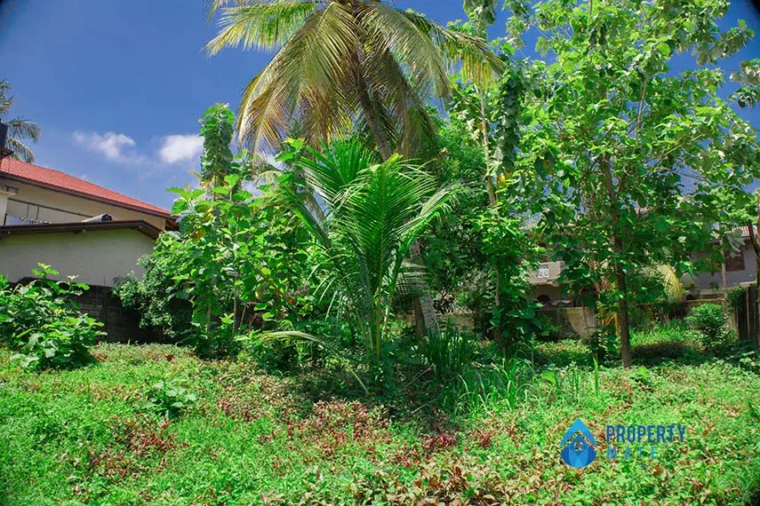 Land for sale in Raththanapitiya Boralesgamuwa